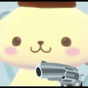 Meet your Posher, Kristina